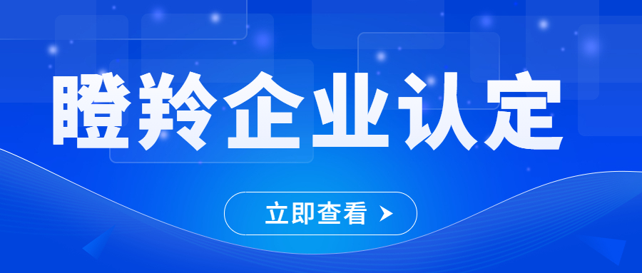 瞪羚企业申报材料