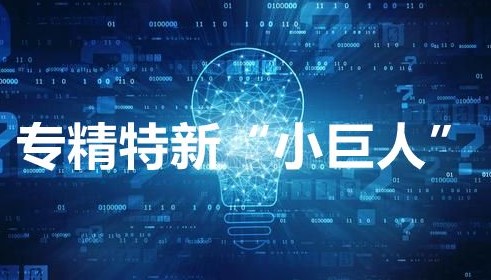 专精特新小巨人企业是什么