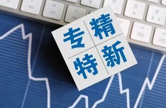 专精特新小巨人申报基本条件