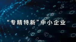 专精特新中小企业申报条件