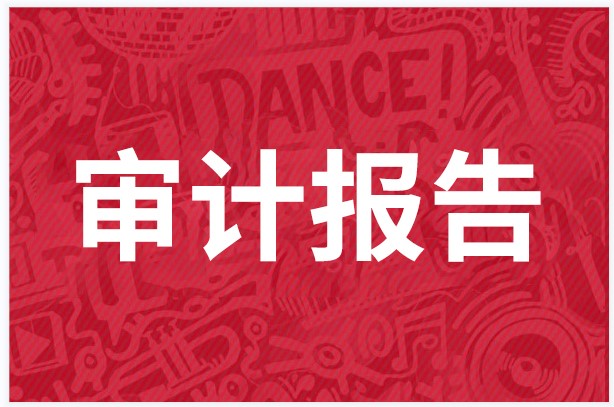 什么是审计报告，审计报告有什么类型